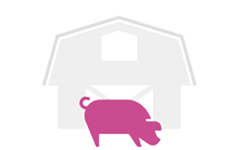 Granja con un cerdo rosa al frente