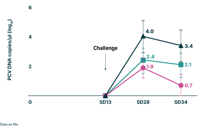 Line chart of Mean PCV2 load in fecal swabs