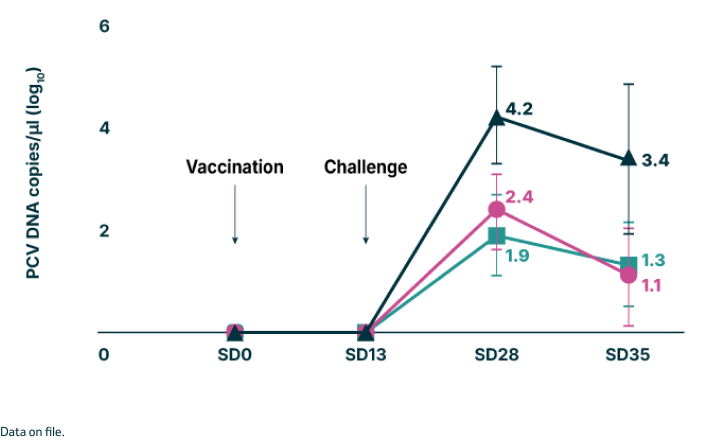 Line chart of Mean PCV2 load viral serum