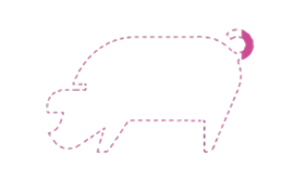 Icono de cerdo punteado relleno de rosa 2,77%