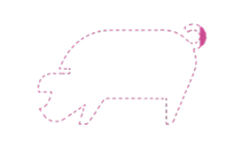 Icono de cerdo punteado relleno de rosa 1,94%