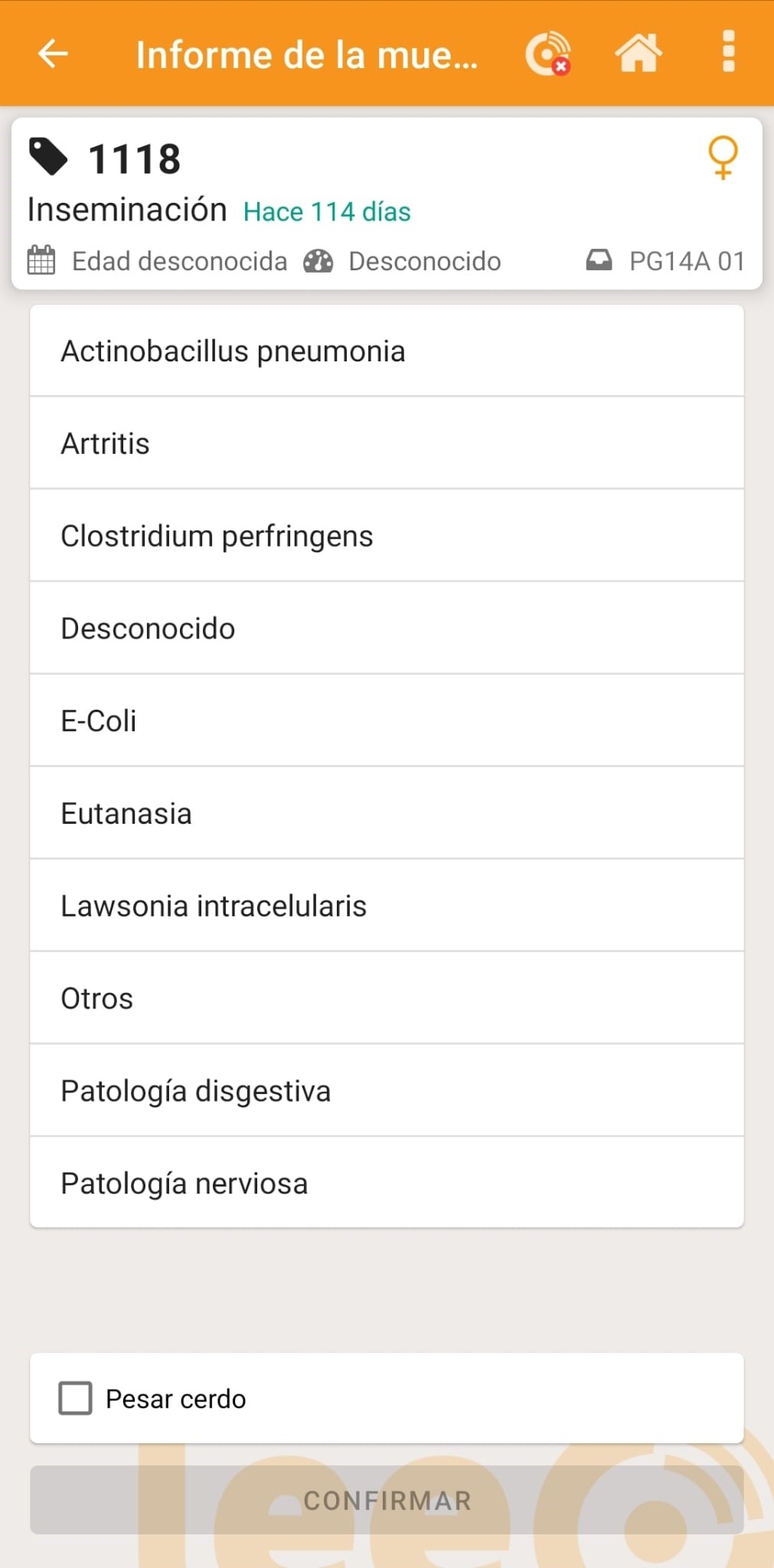 Smartphone mostrando la visualización del reporte de mortalidad en la app.